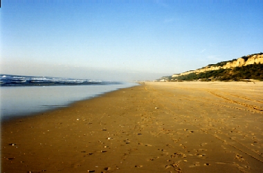 [fontedatelha[1].jpg]